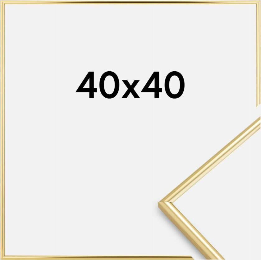 Focus Ramme Can-Can Gull 40x40 Cm