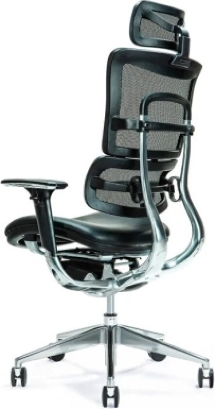 Ergonomisk kontorstol ERGO 800 sort