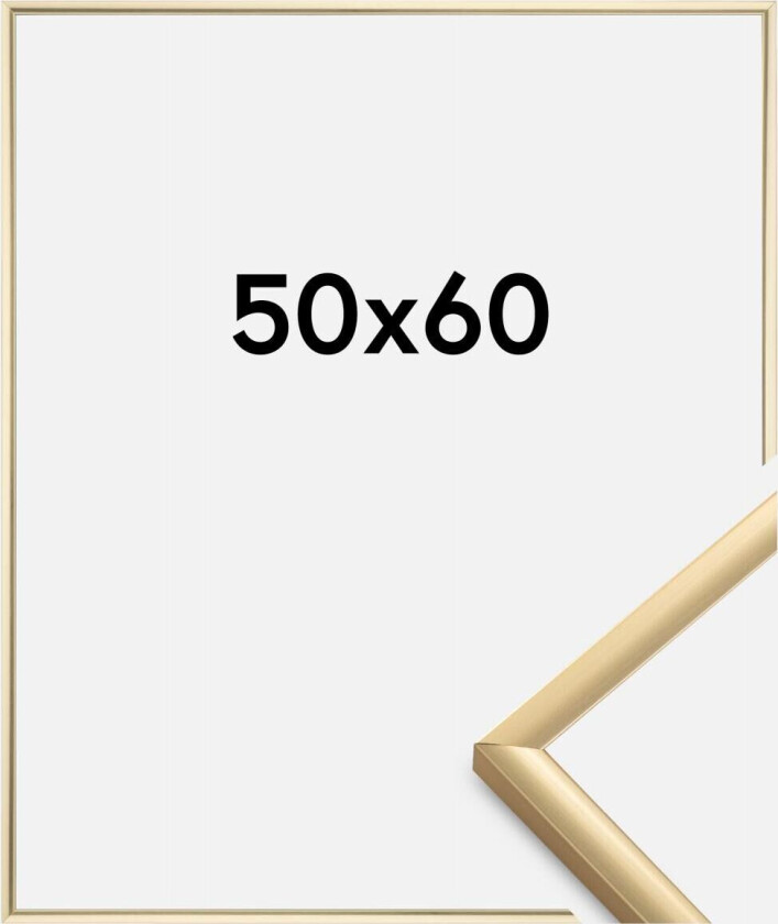 Ramme New Lifestyle Akrylglass Gull 50x60 Cm