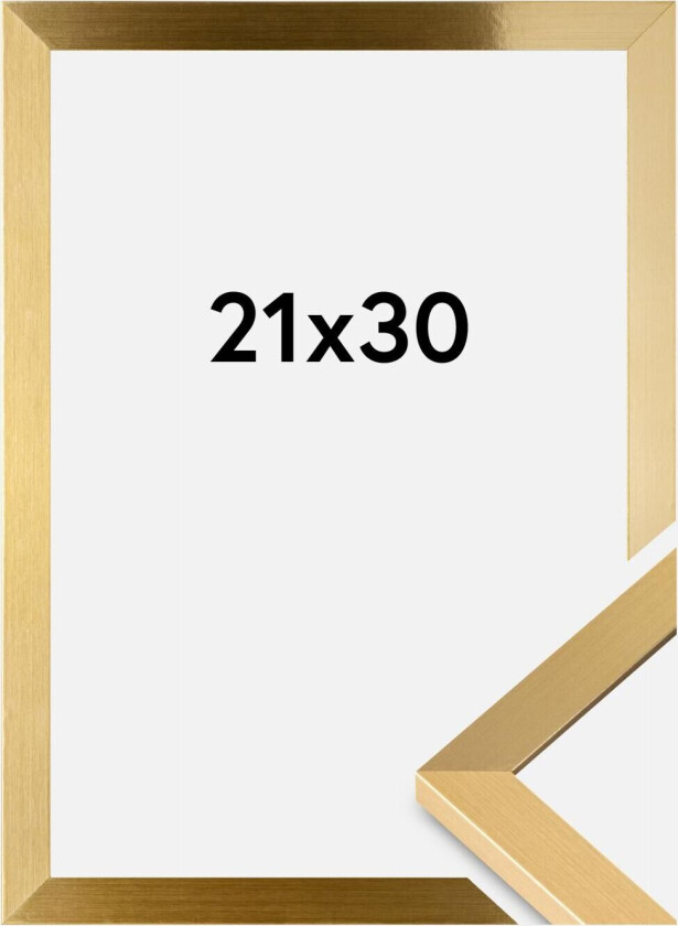Ramme Selection Akrylglass Gull 21x30 Cm