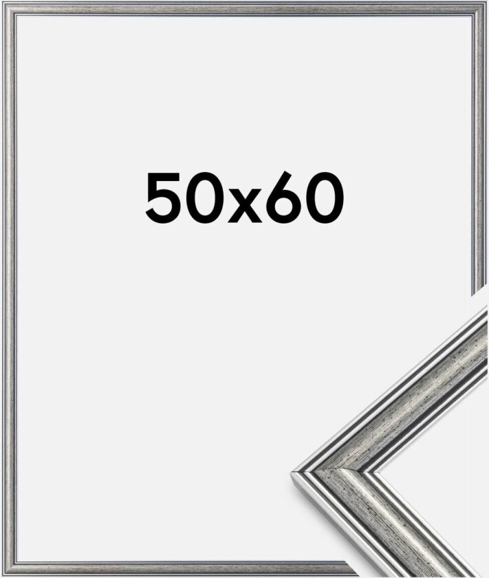 Ramme Frigg Sølv 50x60 Cm