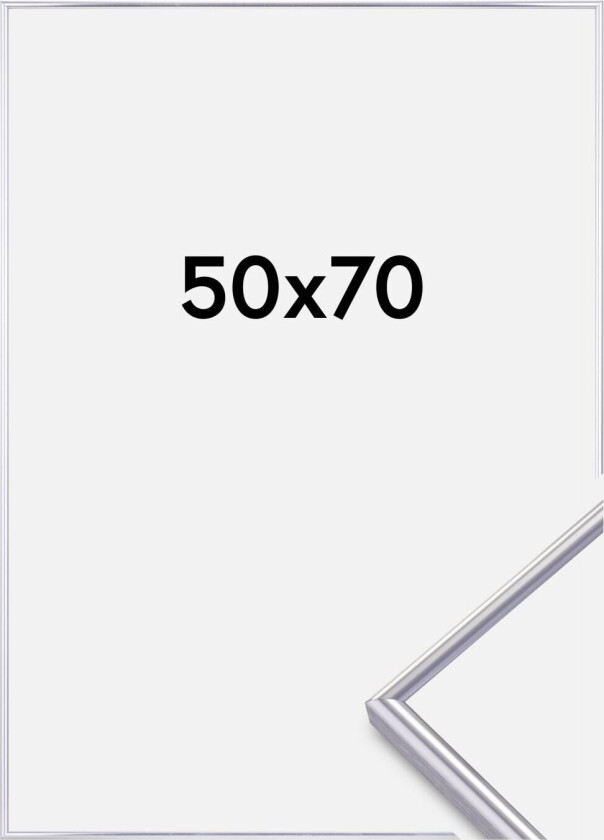 Focus Ramme Can-Can Sølv 50x70 Cm
