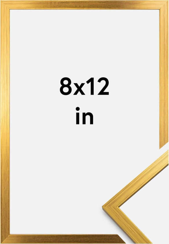 Ramme Edsbyn Akrylglass Gull 8x12 Inches (20,32x30,48 Cm)