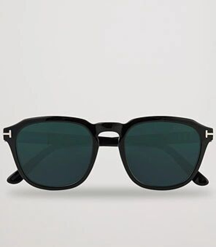 Tom Ford Avery Sunglasses Shiny Black/Blue