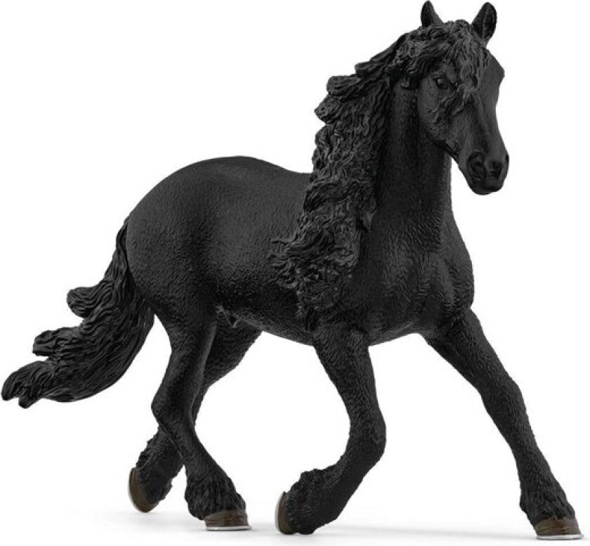 Friesian Stallion