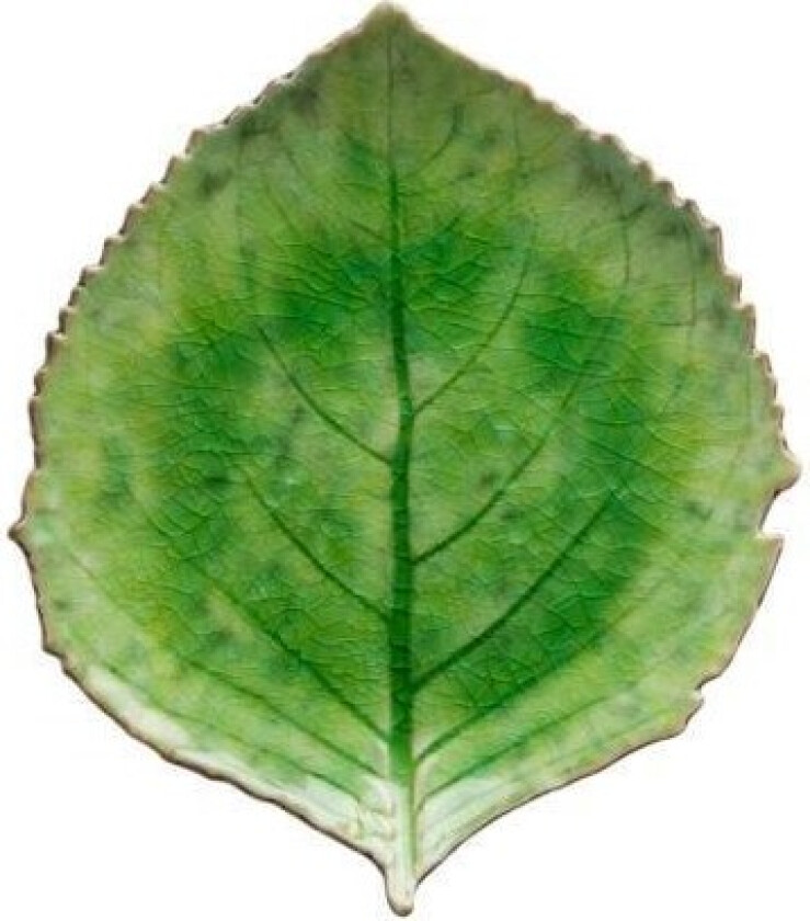 Plate hydrangea Riviera 22 x 19 cm Green/Black Ceramic