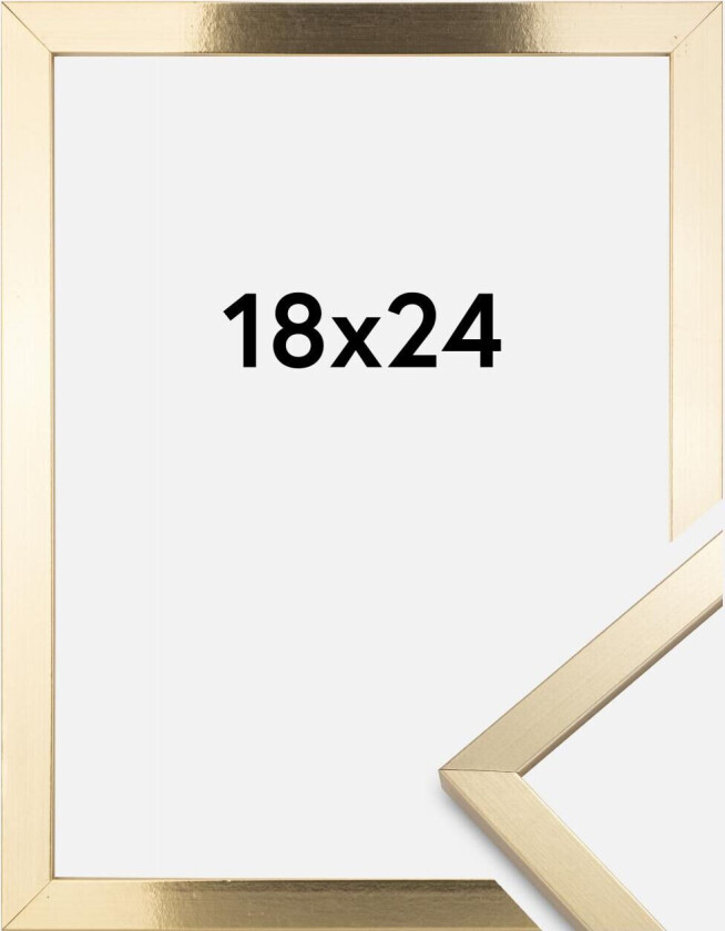 Ramme Trendy Akrylglass Gull 18x24 Cm