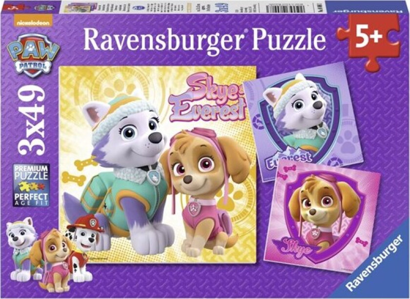Paw Patrol Glamourous Girls 3x49p
