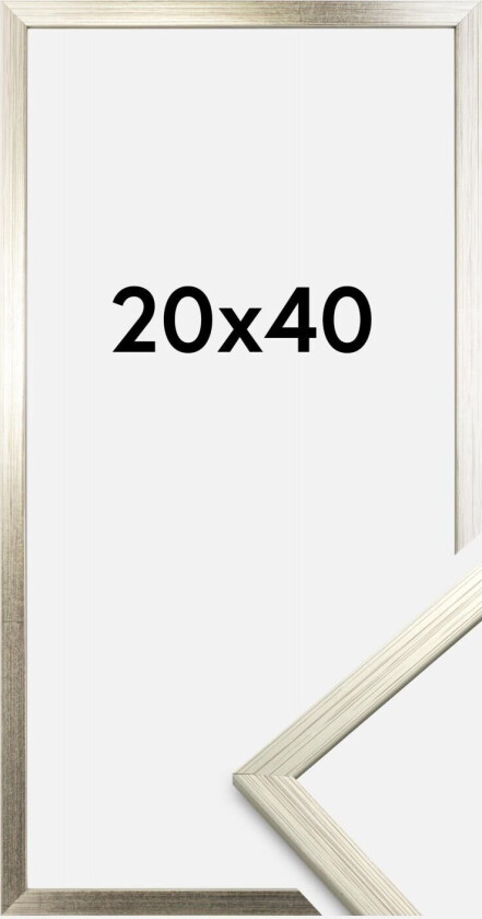 Ramme Edsbyn Akrylglass Sølv 20x40 Cm