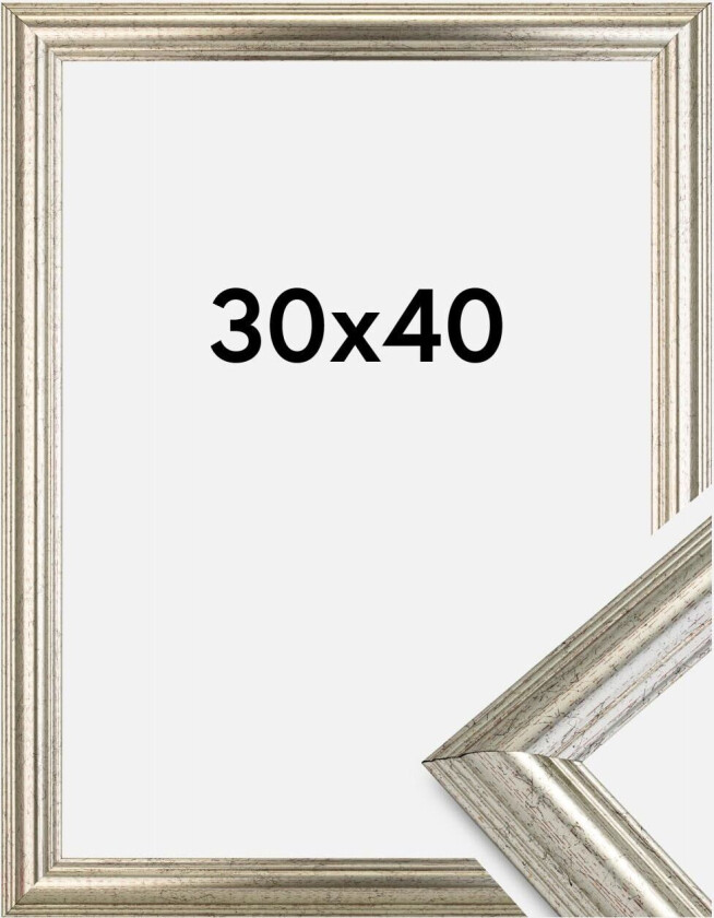 Ramme Västkusten Sølv 30x40 Cm