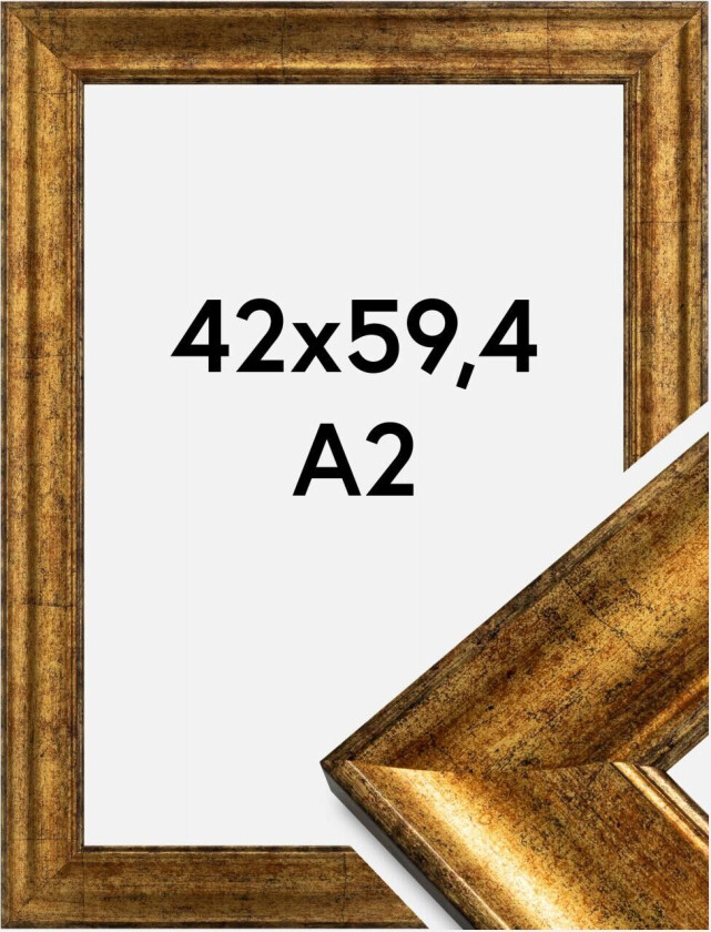 Ramme Saltsjöbaden Gull 42x59,4 Cm (A2)