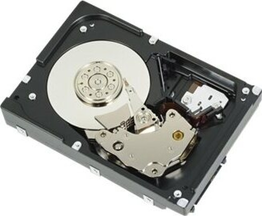 Harddisk - 2 Tb - Intern - 3.5" - Sas 6Gb/S - Nearline - 7200 Rpm