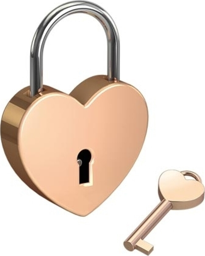 BASI 0006-0702, Tradisjonell, Nøkkellås, Bruk bare én nøkkel, Gull, Aluminium, Rund