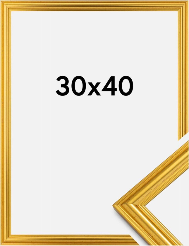 Ramme Frigg Gull 30x40 Cm