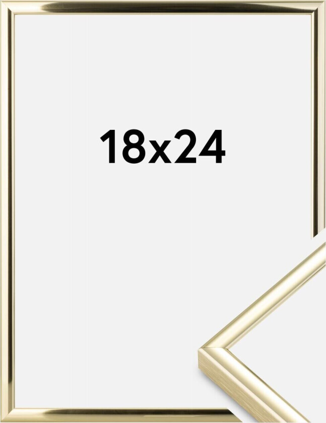 Ramme  Premium Classic Gull 18x24 Cm