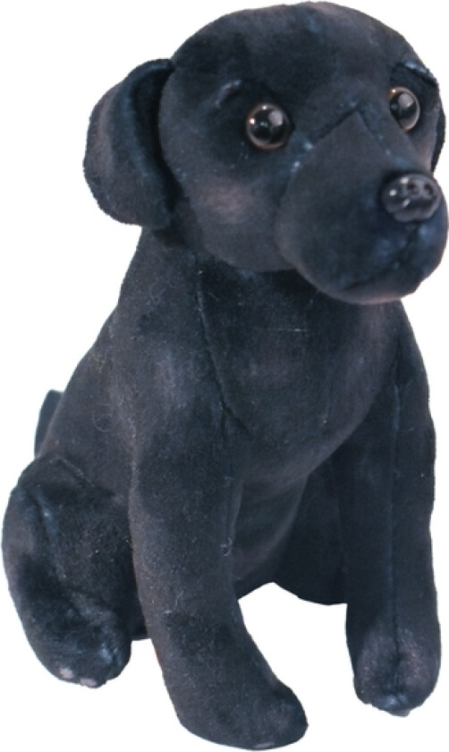 27516, Leke hund, Gir fra seg lyd