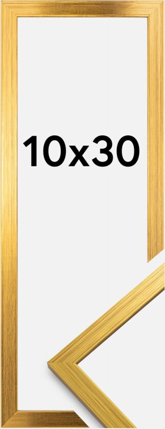 Ramme Edsbyn Gull 10x30 Cm