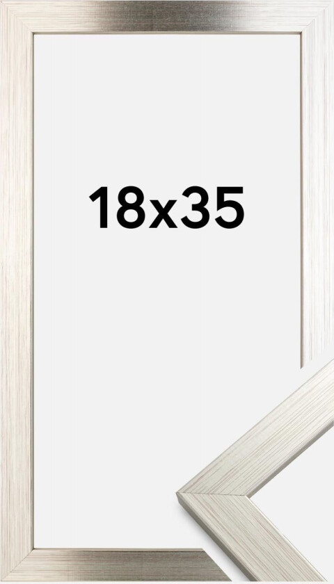 Ramme Silver Wood 18x35 Cm
