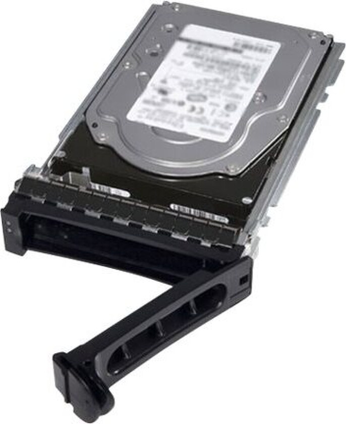 - Harddisk - 2.4 TB - hot-swap - 2.5 i 3,5 tommer leder - SAS 12Gb/s - 10000 rpm - for PowerEdge T330 (3.5), T430 (3.5), T630 (3.5)  PowerVault ME4012 (3.5)
