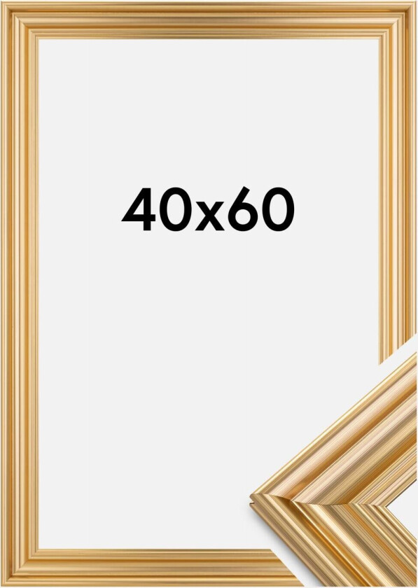 Focus Ramme Charleston Gull 40x60 Cm