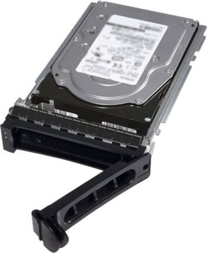 - Harddisk - 300 GB - hot-swap - 2.5 - SAS 12Gb/s - 15000 rpm