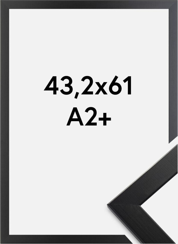 Ramme Trendline Akrylglass Svart 43,2x61 Cm (A2+)