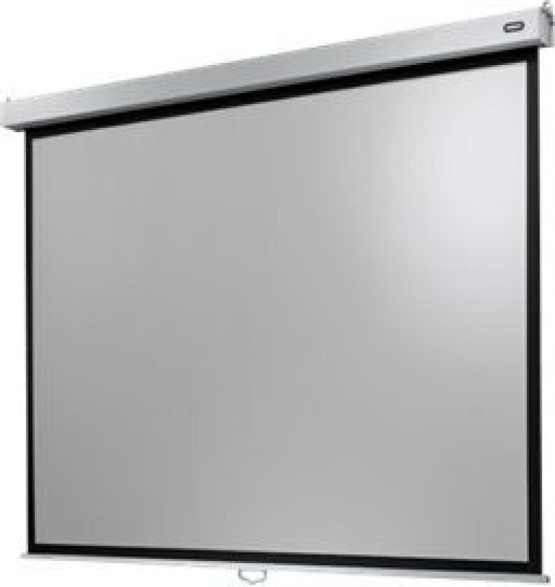 Celexon Manual Professional Plus Data format - Projeksjonsskjerm - takmonterbar, veggmonterbar - 79 (200 cm) - 4:3 - Matthvit - hvit