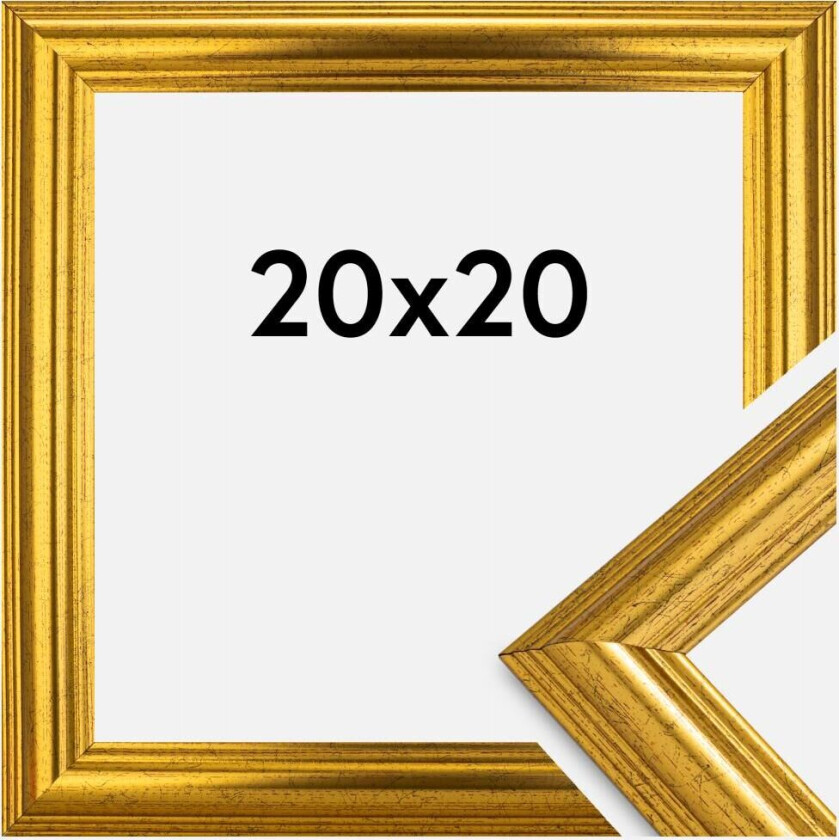 Ramme Västkusten Akrylglass Gull 20x20 Cm