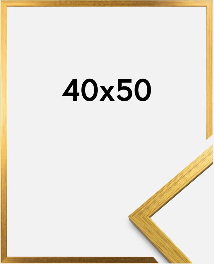 Ramme Edsbyn Akrylglass Gull 40x50 Cm