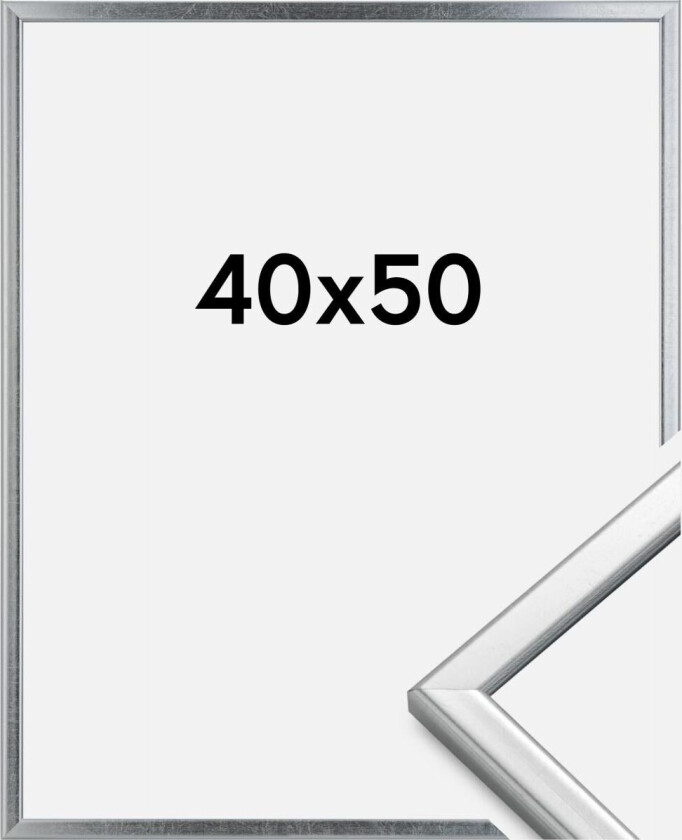 Ramme Slim Matt Antirefleksglass Sølv 40x50 Cm