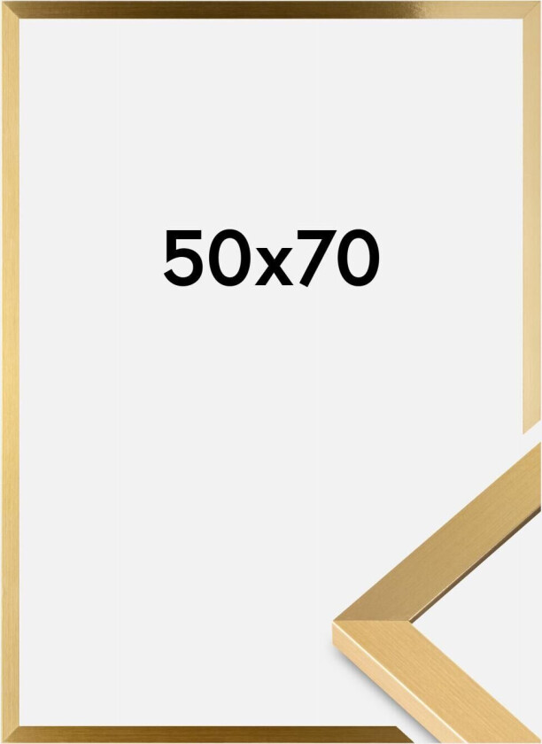 Ramme Selection Akrylglass Gull 50x70 Cm