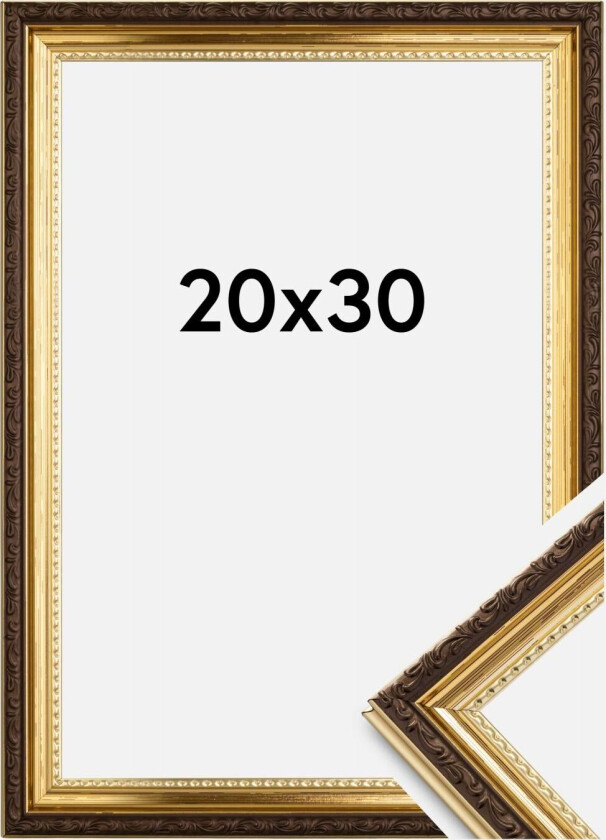 Ramme Abisko Akrylglass Gull 20x30 Cm