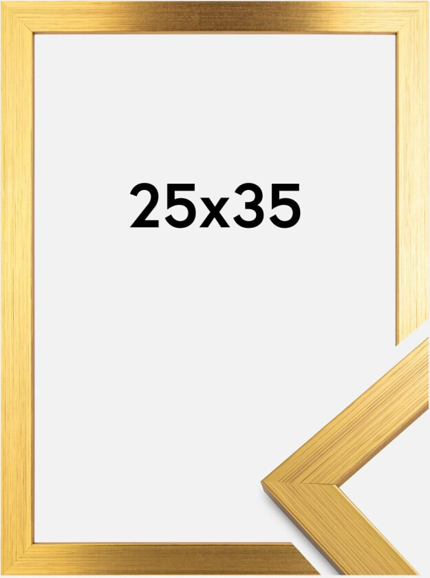 Ramme Gold Wood Akrylglass 25x35 Cm