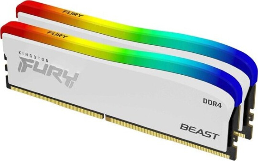 FURY Beast RGB SE DDR4-3600 C18 DC - 32GB