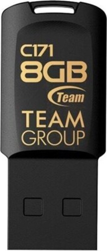 Team Color Series C171 - 8GB - Minnepenn
