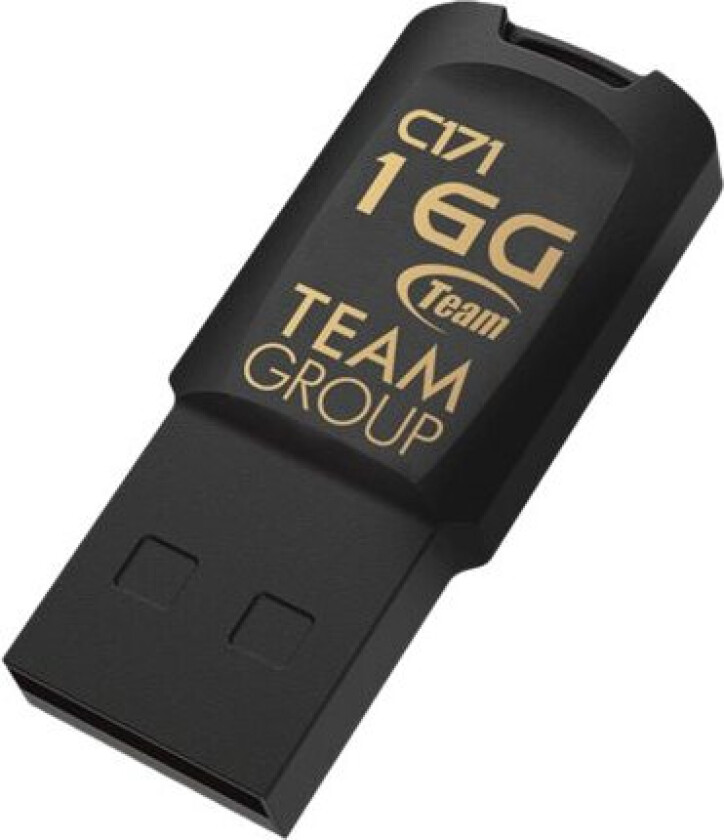 Team Color Series C171 - 16GB - Minnepenn