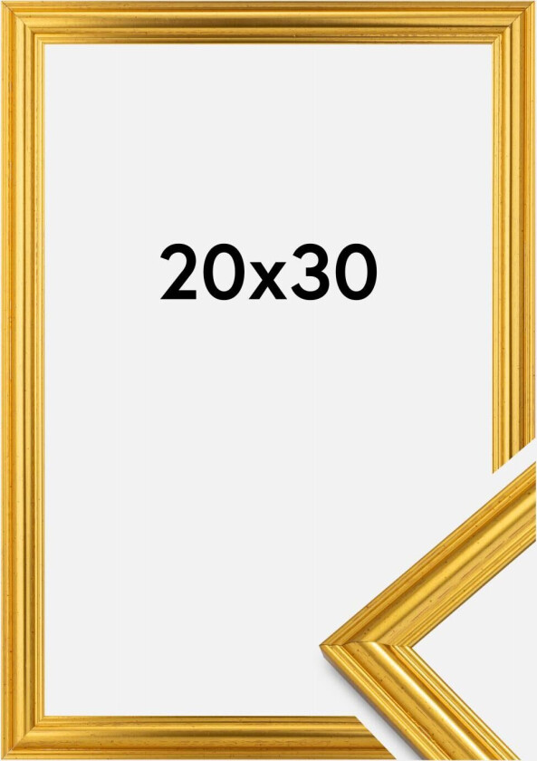 Ramme Frigg Gull 20x30 Cm