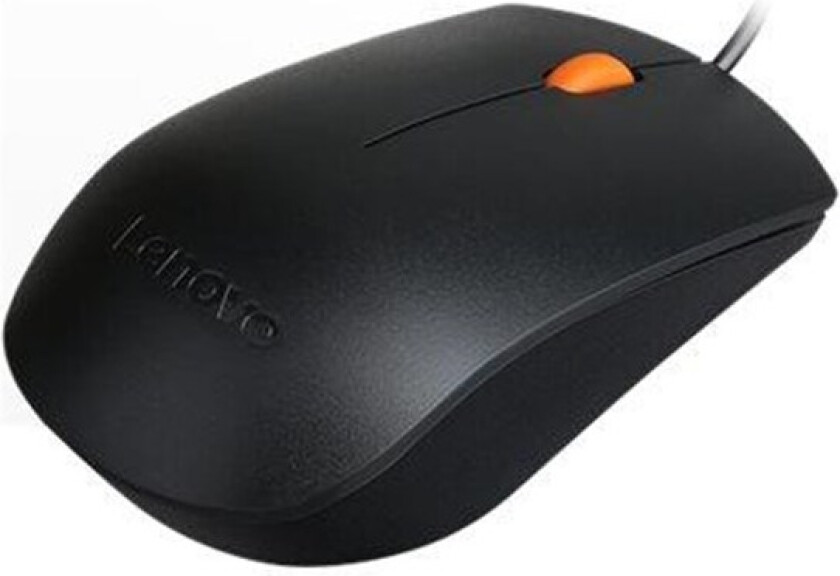 300 - mouse - USB - Mus