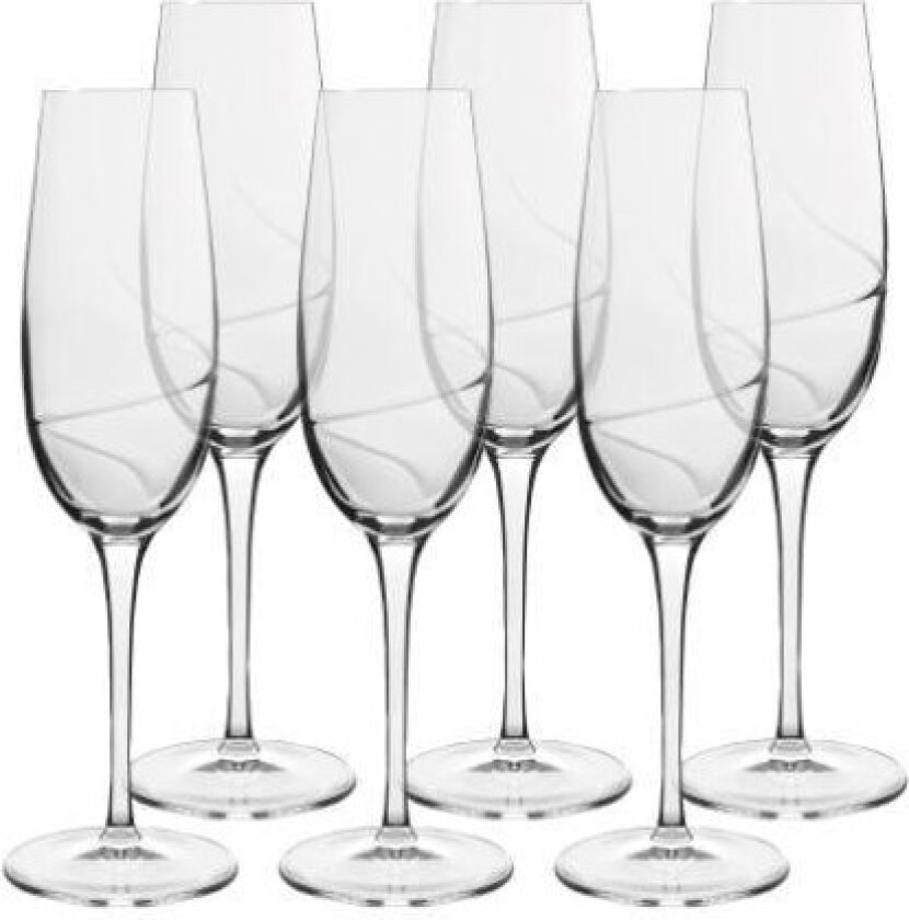 Aero champagne glass - 23.5 cl 6 pcs