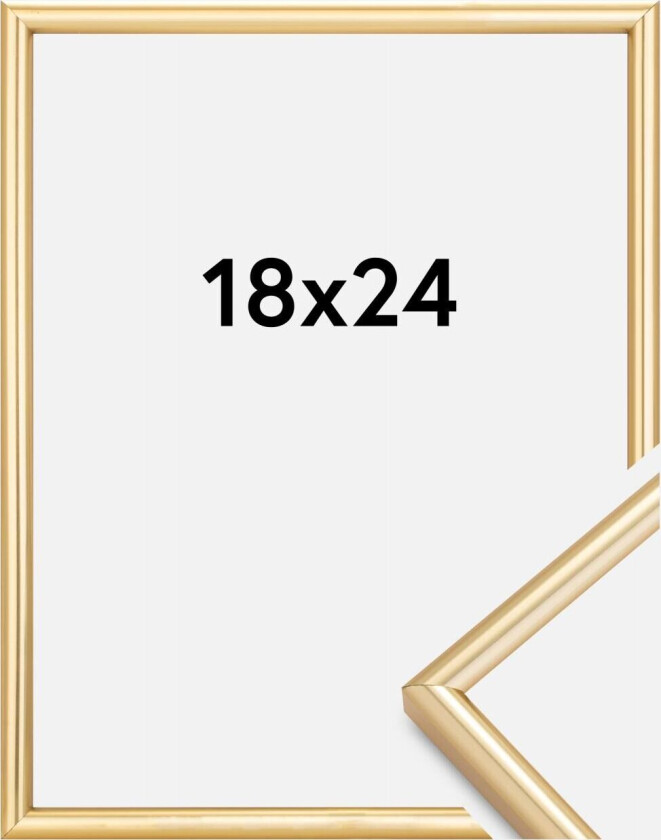 Ramme Galeria Gull 18x24 Cm