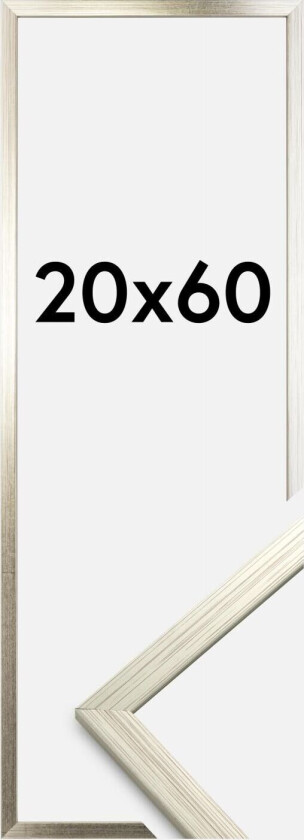 Ramme Edsbyn Akrylglass Sølv 20x60 Cm