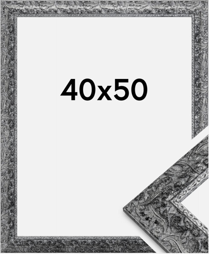 Ramme Ralph Sølv 40x50 Cm