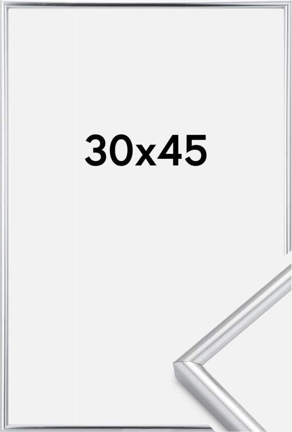Ramme Galeria Sølv 30x45 Cm