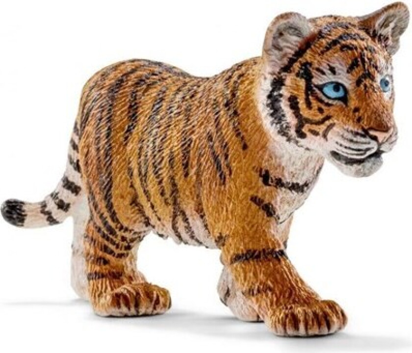 Tiger cub