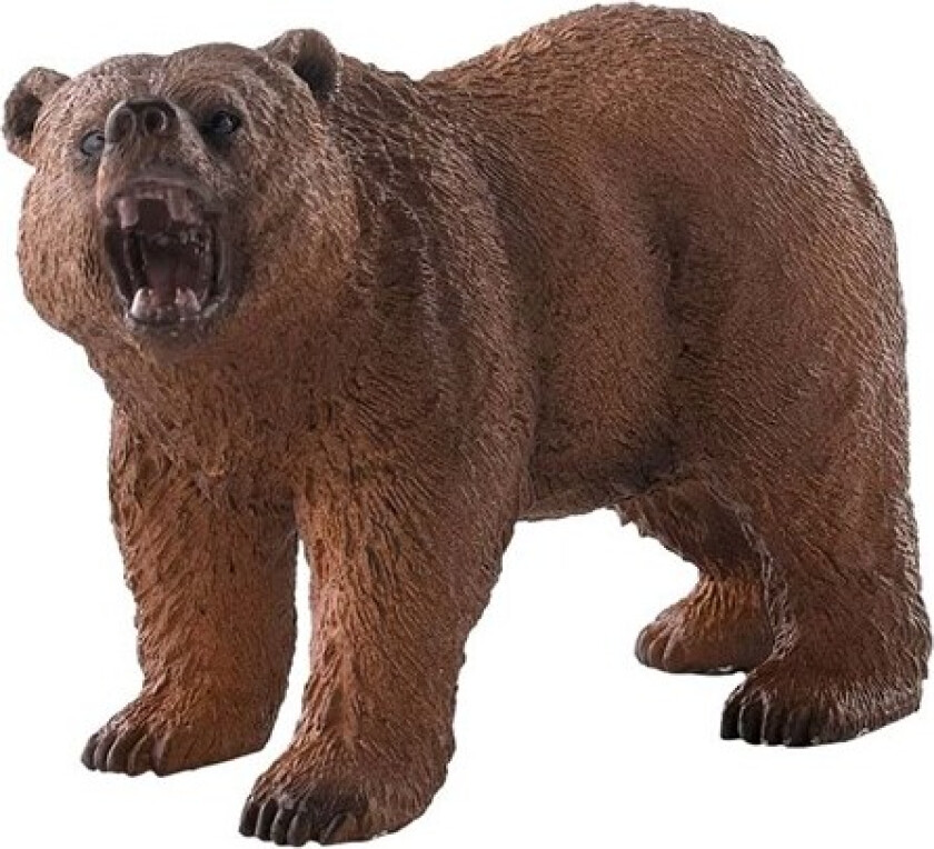 Bilde av Grizzly bear