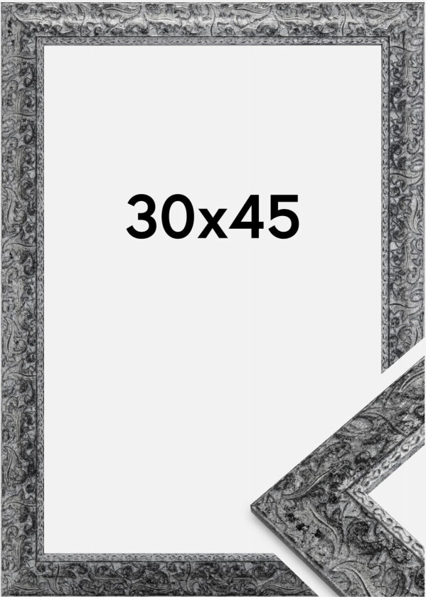 Ramme Ralph Sølv 30x45 Cm