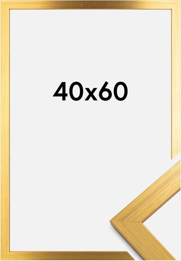 Ramme Gold Wood Akrylglass 40x60 Cm
