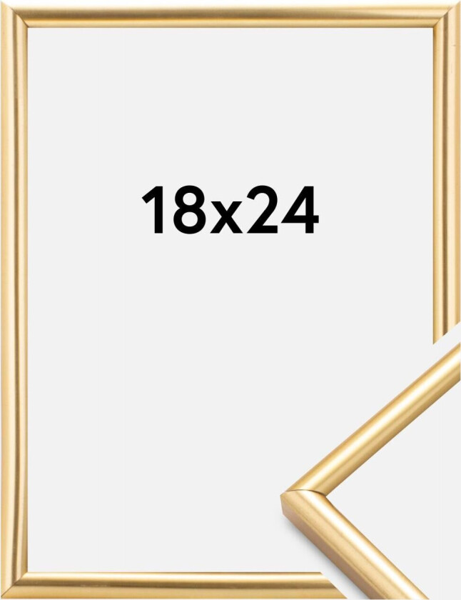 Ramme Decoline Gull 18x24 Cm