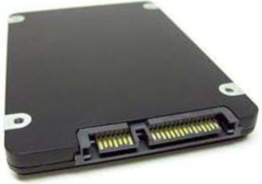 enterprise - solid state drive - 100 GB