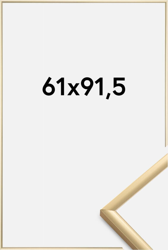 Ramme New Lifestyle Akrylglass Gull 61x91,5 Cm